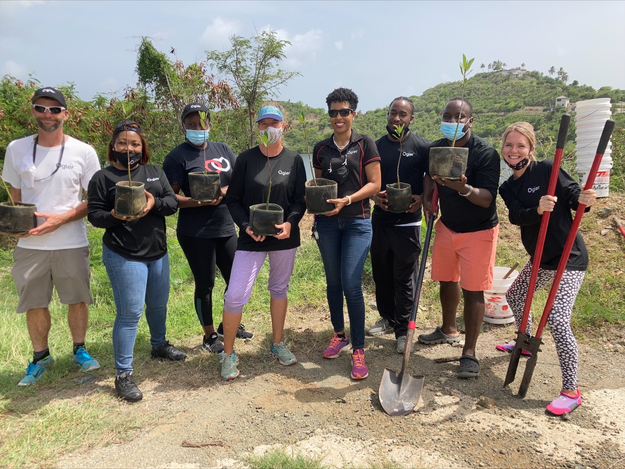 BVI Team Mangrove Planting CSR