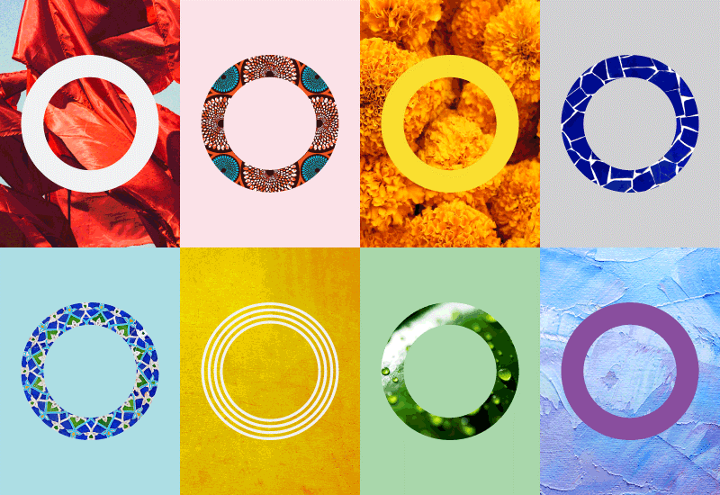 DandI Grid 800 x 550