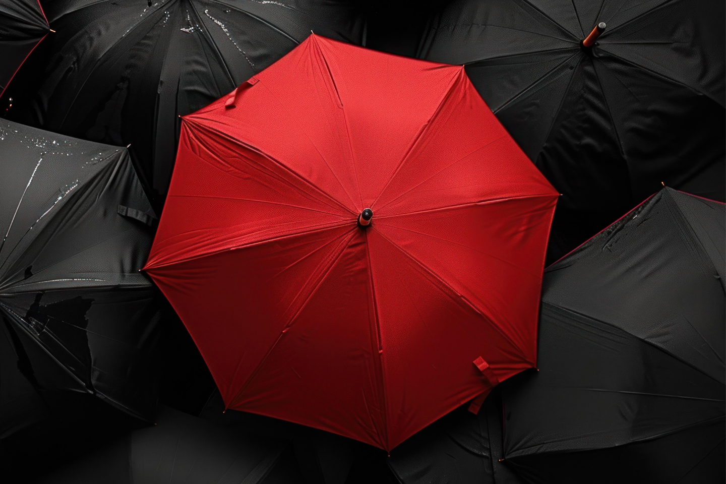 birds eye view of central red umbrella amongst black umbrellas